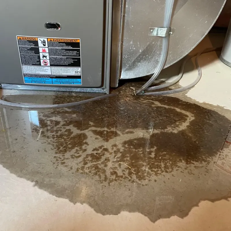 Appliance Leak Cleanup in Pelham, GA